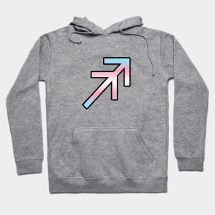 Sagittarius Trans Pride Symbol Hoodie